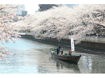 【東京ベイ潮見プリンスホテル】両岸から枝垂れる桜を満喫！船上でお花見をゆったり楽しめる至高プラン