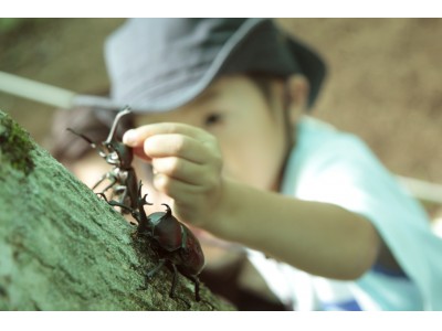 夏休みの軽井沢に「カブトムシの森」特設ドームが登場　＜世界のカブトムシ展示＆「目指せNo.1!カブトムシ相撲大会」を開催＞