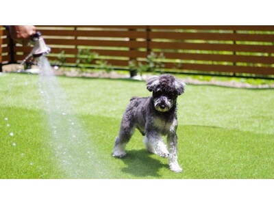 【箱根仙石原プリンスホテル】愛犬といっしょにお出かけプランを販売
