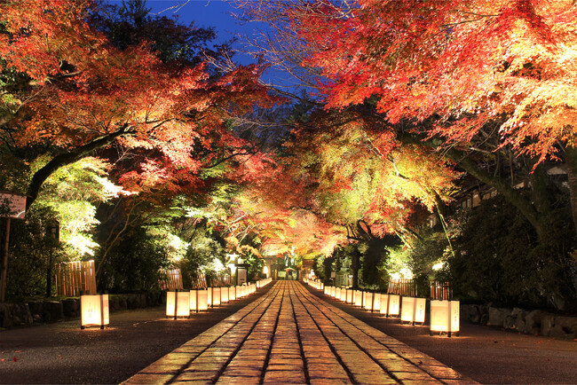 【びわ湖大津プリンスホテル】境内を彩る紅葉の錦と幻想的な灯りが織りなすひととき「絶景を味わう宵紅(よいくれない)の船旅」を開催