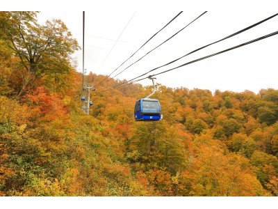 各地のスキー場で紅葉の見頃を迎えています　　　