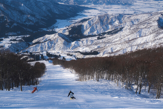 【六日町八海山スキー場】雲の上でのプレミアムな1本を。スペシャルファーストトラックプランを販売！【期　間】2026年1月13日(火)～2月13日(金)の平日限定