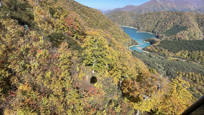 【苗場スキー場・かぐらスキー場】苗場ドラゴンドラ・田代ロープウェー山全体の紅葉が見頃ピークに!2つの日本一を紅葉と楽しむ!