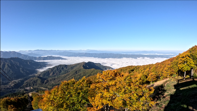 【八海山ロープウェー】山全体の紅葉が見頃ピークに！雲海とのコラボレーションも。【運行期間】2025年11月16日(日)まで