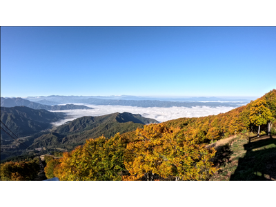 【八海山ロープウェー】山全体の紅葉が見頃ピークに！雲海とのコラボレーションも。【運行期間】2025年11月16日(日)まで