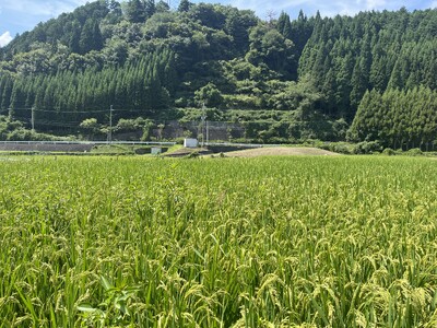 【ザ・プリンス 京都宝ヶ池】ホテルの生ごみを循環資源として活用「京都里山SDGsめぐるプロジェクト」で育...