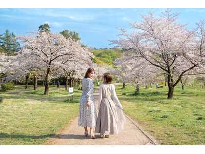 【中国割烹旅館 掬水亭】 都心から約 50 分 地元の銘茶をテーマに心と体をリフレッシュ「はなやぎ ちゃ...