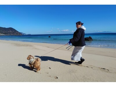 「下田プリンスホテル」春の下田でワンちゃんと歩く「ビーチクリーン朝さんぽ」プランを販売開始