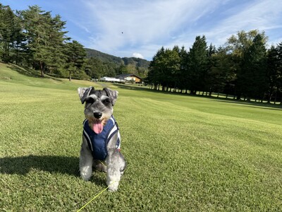 軽井沢 【晴山（せいざん）ゴルフ場】プリンスゴルフリゾート初となる新サービス愛犬とゆったりゴルフを楽しむ...