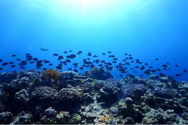 【沖縄プリンスホテル オーシャンビューぎのわん】宜野湾の海洋環境を活用した「海底熟成貯蔵体験」始動　2026年9月1日（火）～