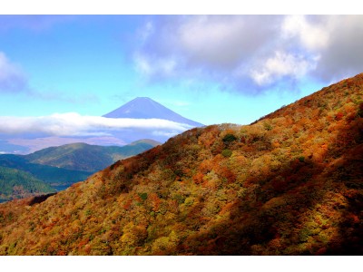 箱根・芦ノ湖周辺の紅葉が今シーズンのピークを迎えています。
