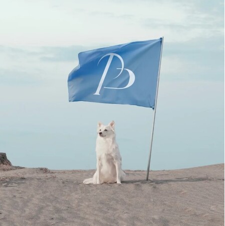 「STANDING ON THE BLUE」Pet博2026福岡に出展- 8月8日（土）～9日（日）の2日間限定、“ペットは家族”をテーマにした人気イベントに登場 -
