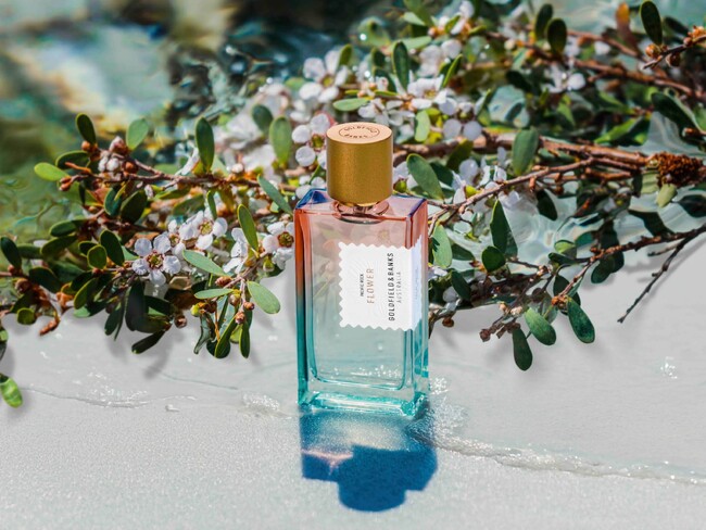 ニッチフレグランス専門店「NOSE SHOP」から「Goldfield & Banks」「Nishane」が、夏の香水の祭典「香水夏市 curated by ISETAN MEN’S」に出店!