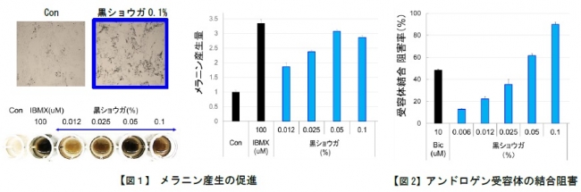 黒ショウガにアンチエイジング効果 加齢による頭髪の悩み 白髪と薄毛 の対策に 株式会社毛髪クリニックリーブ21 プレスリリース