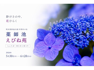 【町田】約2,200株の花ショウブと約6,000株のアジサイが彩る、初夏の花さんぽ