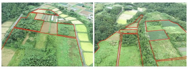 群馬県高崎市多比良地区にて、キウイ圃場10.7haを開園