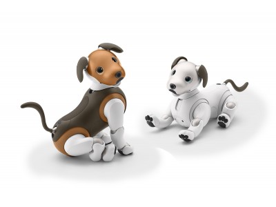 エンタテインメントロボット“aibo”（アイボ）2019年限定カラーモデル「aibo チョコ エディション」を発売