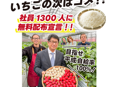 社員1300人に5kgのお米「彩のかがやき」を無料配布！　　　　　　認定農家としていちご「あまりん」も育成中！