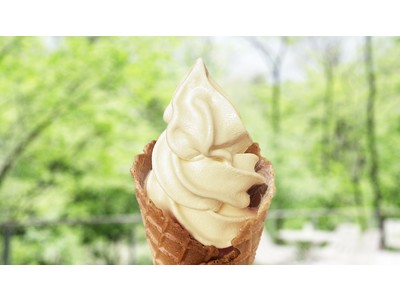 バリスタの淹れるエスプレッソを使用した香り豊かな「ソフトクリーム　(モカ)」を丸山珈琲 ハルニレテラス店にて7月9日（土）より販売開始