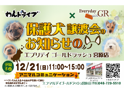 エブリデイゴールドラッシュ宮原店×わんドライブ　2021年2月から「保護猫譲渡会」を続けてきているエブリ...