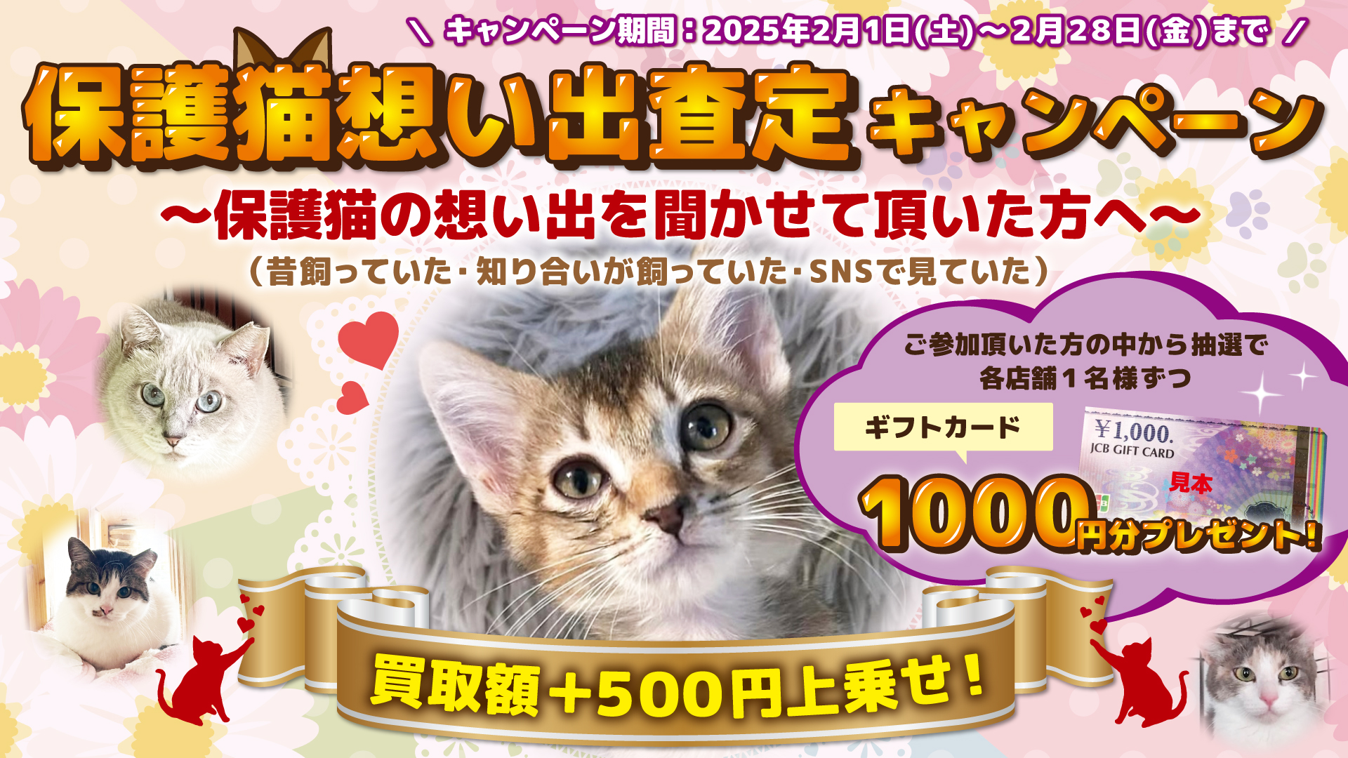 【2月22日は“猫の日”】猫にちなんで『保護猫想い出査定』を開催　保護猫のエピソードお話し頂いた方、もれなく買取金額UP　更に抽選でギフトカードが当たるキャンペーンも