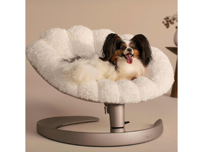 ペットケア用品ブランド「WAFONA」によるペット用品専門店『Paddy by WAFONA（パディ バイ ワフォナ）』が大丸京都店1階に期間限定オープン！