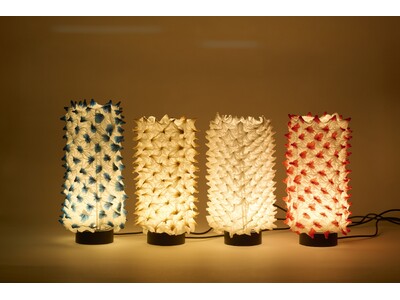 未来を紡ぐ　京の若き作り手たち　～春分の日は「伝統産業の日」～