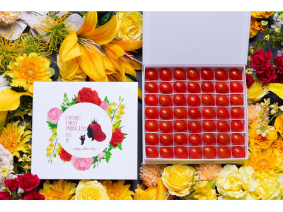 【松坂屋名古屋店】「トマトの概念が変わる」ー糖度11超のフルーツトマトが期間限定で登場！