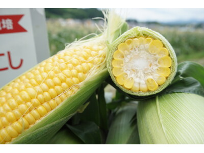 「コーンなにたくさん！」とうもろこしグルメが大集合🌽