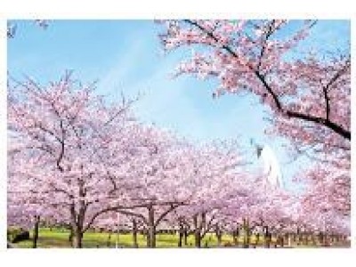 3月19日（月）より太陽の塔内部公開。ますます盛り上がる、万博記念公園すぐ春のレジャーを満喫できる、お得なホテルプランが登場　2018年3月1日（木）より　ホテル阪急エキスポパークにて