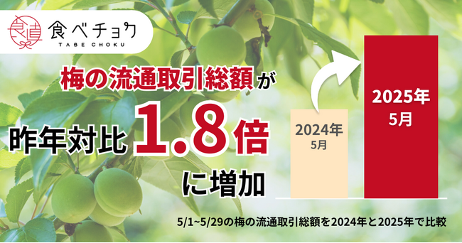 食べチョク、梅の流通額が1.8倍に拡大。7割の生産者が収穫量減を予測。不作で高まる産地直送ニーズに応え、買って応援クーポンを限定配布。