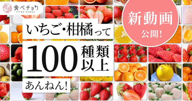 「いちご・柑橘って100種類以上あんねん！」食べチョク、品種の多様性を伝える新CM動画公開。品種の魅力発信をリード