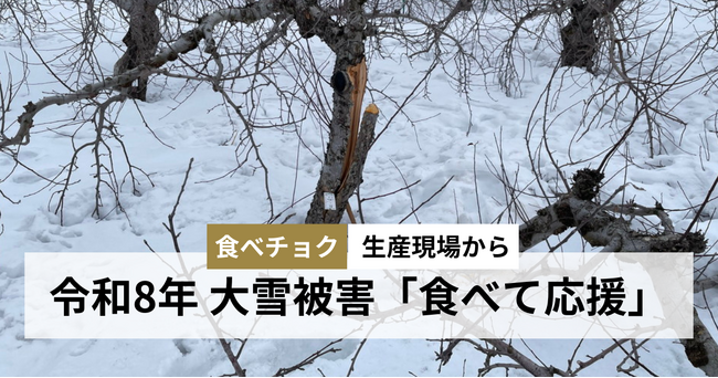 令和8年大雪被災生産者の農産物を「食べて応援」できる特設ページを新設。雪に覆われ、被害全貌は未だ見えず