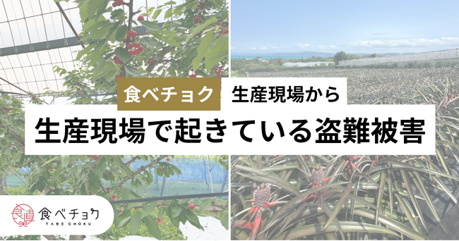 農産物の盗難、現場検証に2～3時間立ち会っても犯人特定はほぼ不可能。食べチョク、被害生産者の証言を公開