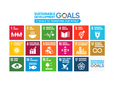 「ソフトローとしてのSDGs： SDGs対応のリスクと商機・勝機」((C)戸村智憲)講演プラン弊社理事長の戸村智憲による圧倒的な腹落ち感ある講演シリーズ【日本マネジメント総合研究所合同会社】