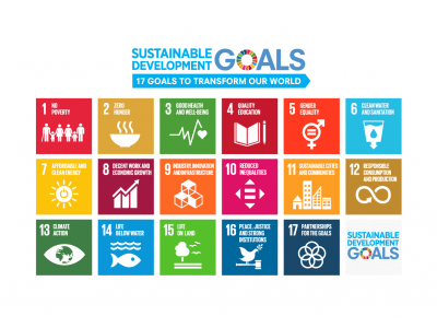 SDGs：弊社が会員として加盟「地方創生SDGs官民連携プラットフォーム」にて公務支援や人材育成・普及啓発を加速します【日本マネジメント総合研究所合同会社】
