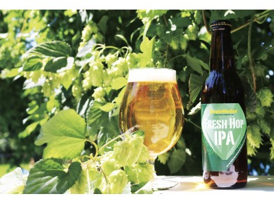 今夏収穫、とれたてフレッシュな山梨“かいこがね”ホップ使用ビール「FRESH HOP IPA」9月5日新発売。ドライな飲み口と圧倒的ホップ感は、まるで“ホップのシャンパン”