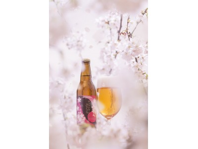 まるで、飲む"桜餅"。天下第一の高遠の桜を使用したビール「サンクトガーレン さくら」2019年2月22日よりリニューアル発売。新たに酒米“楽風舞”を使用し、道明寺桜餅をイメージ