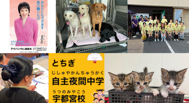 栃木県宇都宮市とさとふる、公益活動団体を支援し市民協働のまちづくりを推…