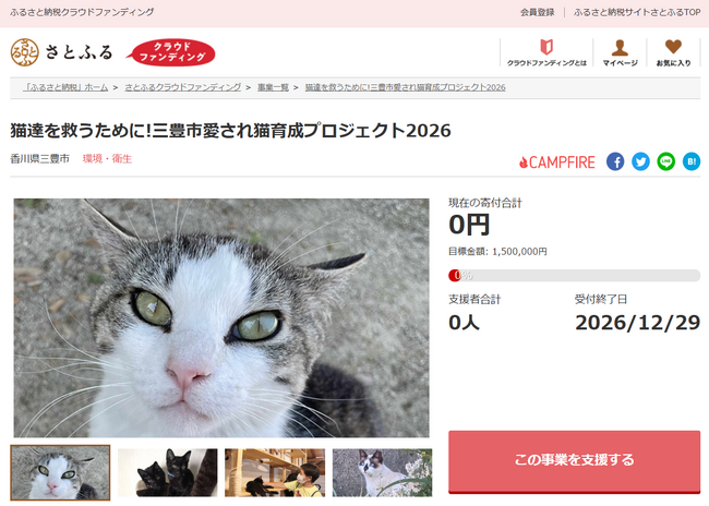 香川県三豊市とさとふる、地域猫活動継続を通して人と猫が共生していけるまちづくりを目指し、寄付受け付けを開始