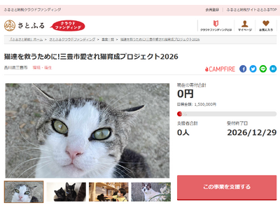 香川県三豊市とさとふる、地域猫活動継続を通して人と猫が共生していけるまちづくりを目指し、寄付受け付けを開始