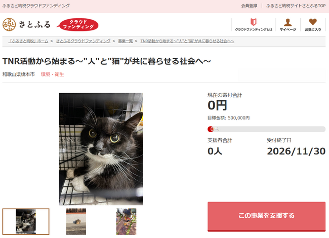和歌山県橋本市とさとふる、TNR活動を推進し“人と猫が共に暮らせる社会”を実現するため、寄付受け付けを開始