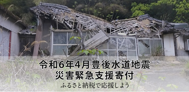 さとふる、「令和6年4月豊後水道地震 災害緊急支援寄付サイト」を開設