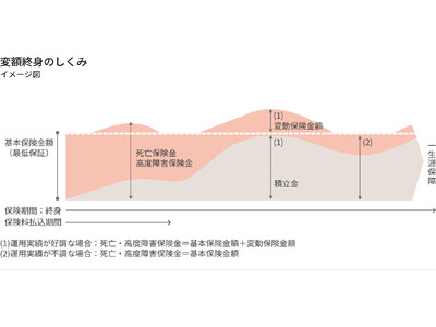 新たな変額保険ラインナップ 「変額終身」を発売