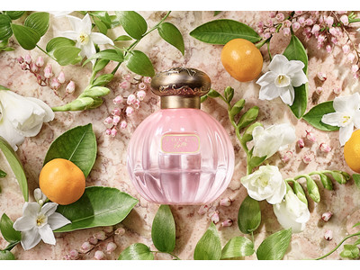 TOCCA BEAUTY  シトラスフローラルムスクが香り立つ新フレグランス「ベルの香り」を限定発売