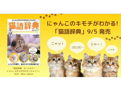 「ニャッ」＝「オッス！」ってホント!?　しぐさや行動で猫の気持ちがわかる！　『猫語辞典』発売！