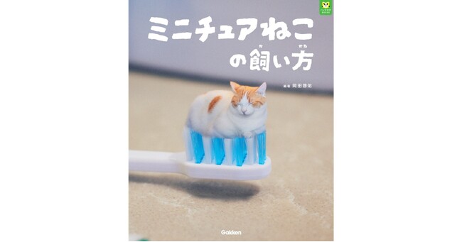 プレスリリース「【あまりの可愛さに猫好き大興奮!?】「パンダの穴BOOKS」第1作目の『ミニチュアねこの飼い方』発売決定＆予約開始!!」のイメージ画像