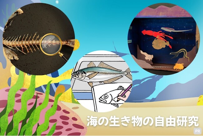 プレスリリース「【学研キッズネット】海の生き物について深く知る観察＆工作！　自由研究を通じて作品コンクールに応募しよう！」のイメージ画像