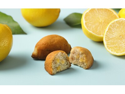 浜松商業高校×春華堂 共同開発スイーツ「君にれもん」完成！