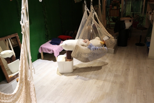 今 話題のハンモック美容室の店長 都立高校で 夢 を語る Hammock Hair Salon Cocona プレスリリース